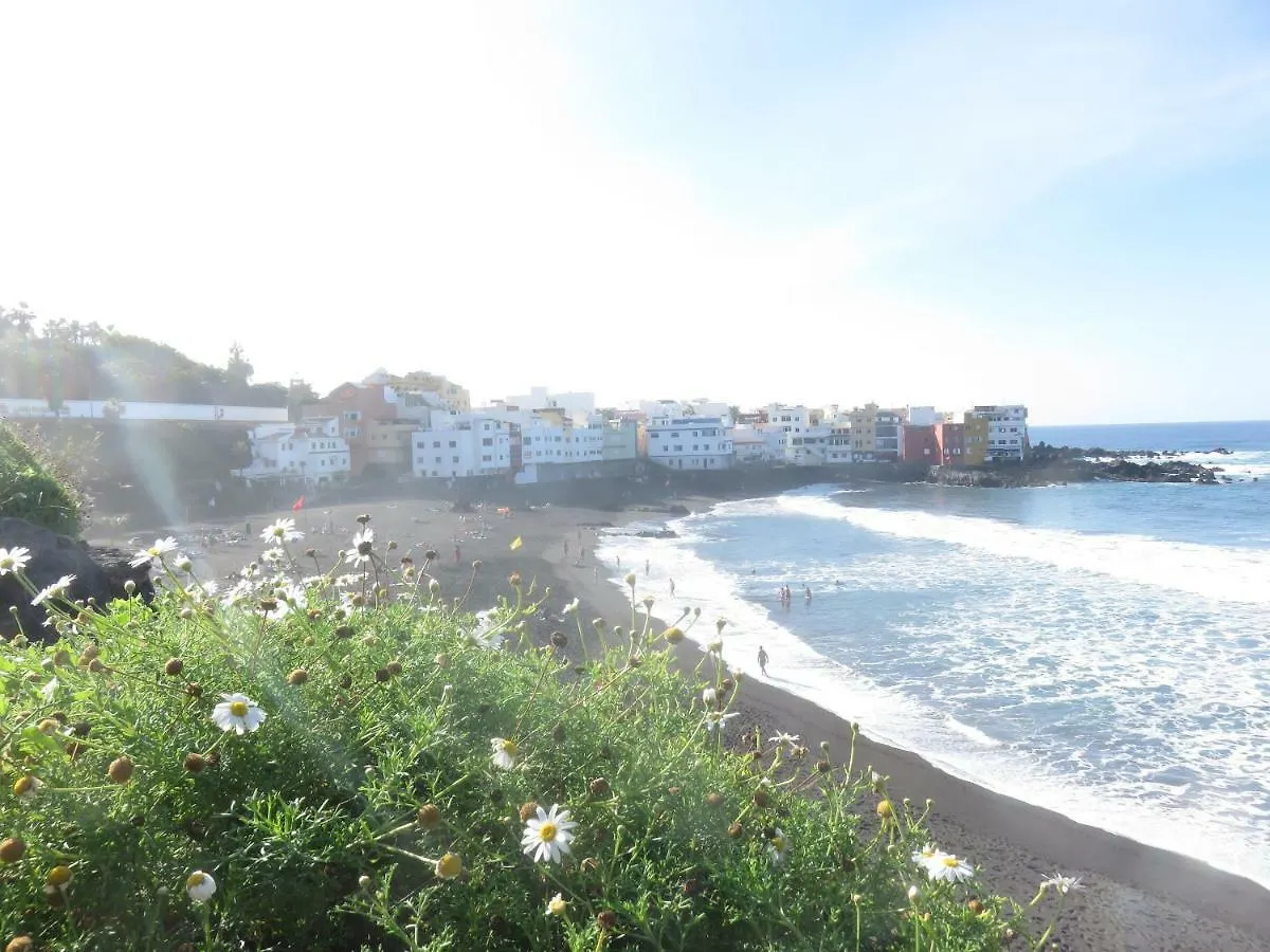 Centrico Loft En El Puerto De La Cruz Con Wifi Y Cerca De La Playa 아파트
